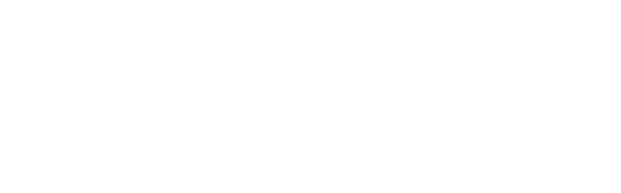 logo (5)